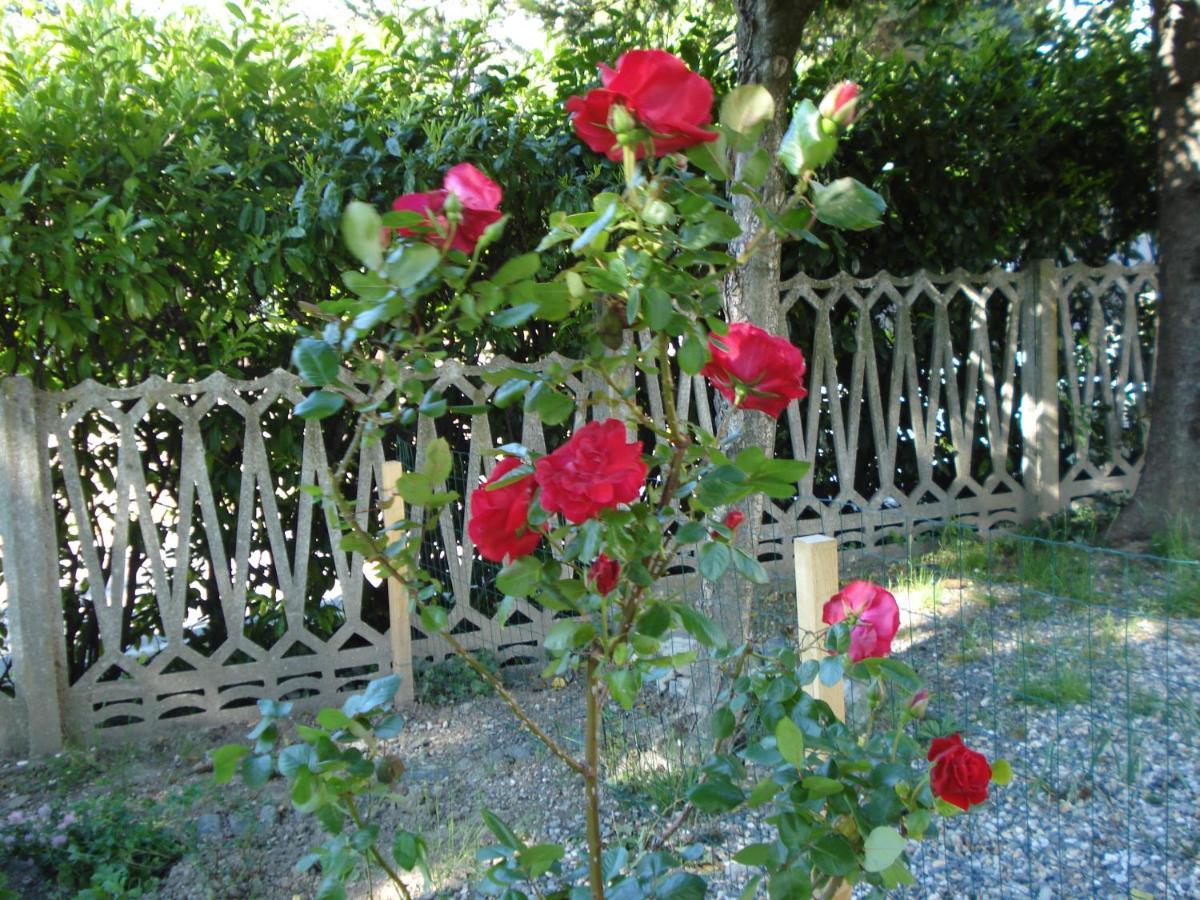 Casa T Bed And Breakfast & Home Restaurant Di Tacchino Simone Tagliolo Monferrato Exterior foto
