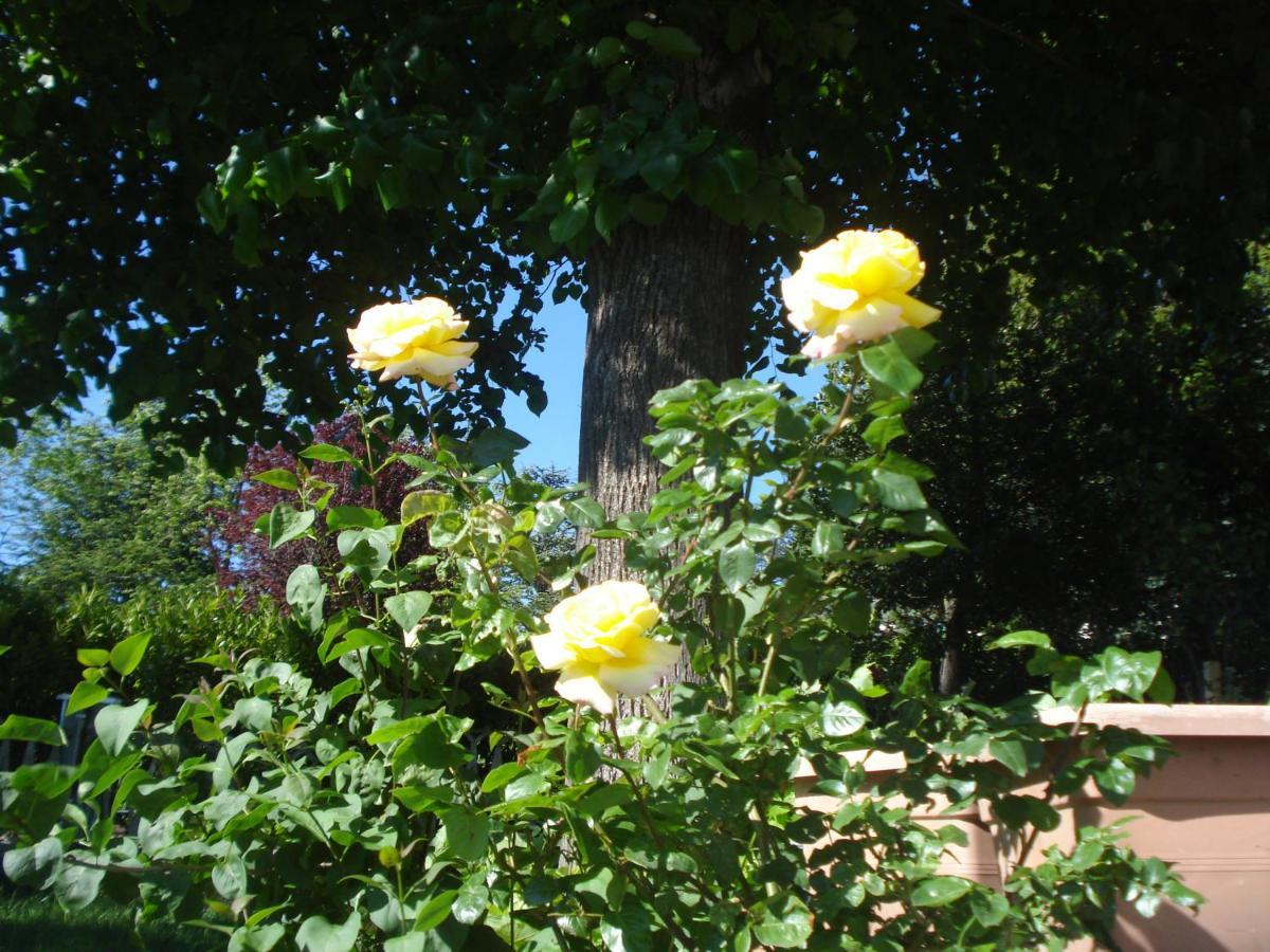 Casa T Bed And Breakfast & Home Restaurant Di Tacchino Simone Tagliolo Monferrato Exterior foto